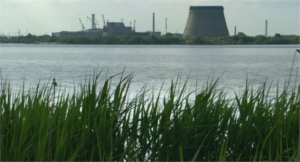 Radioactive Wolvesжŵͼ