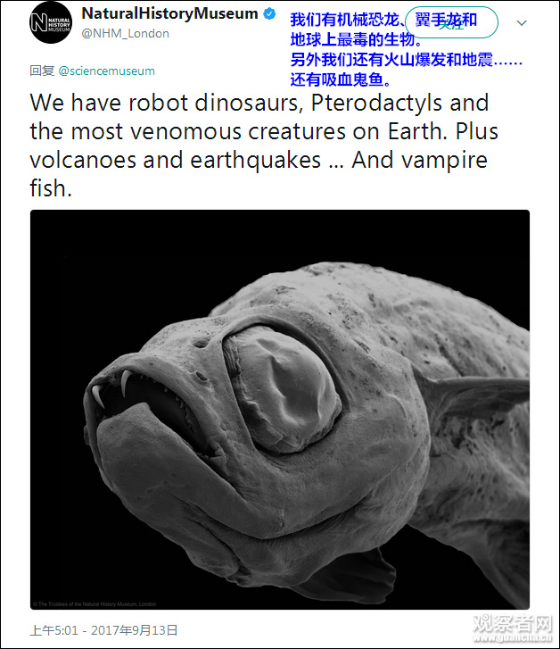 鿴ͼ