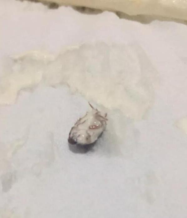 鿴ͼ