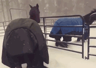 ж䣿ﶼ